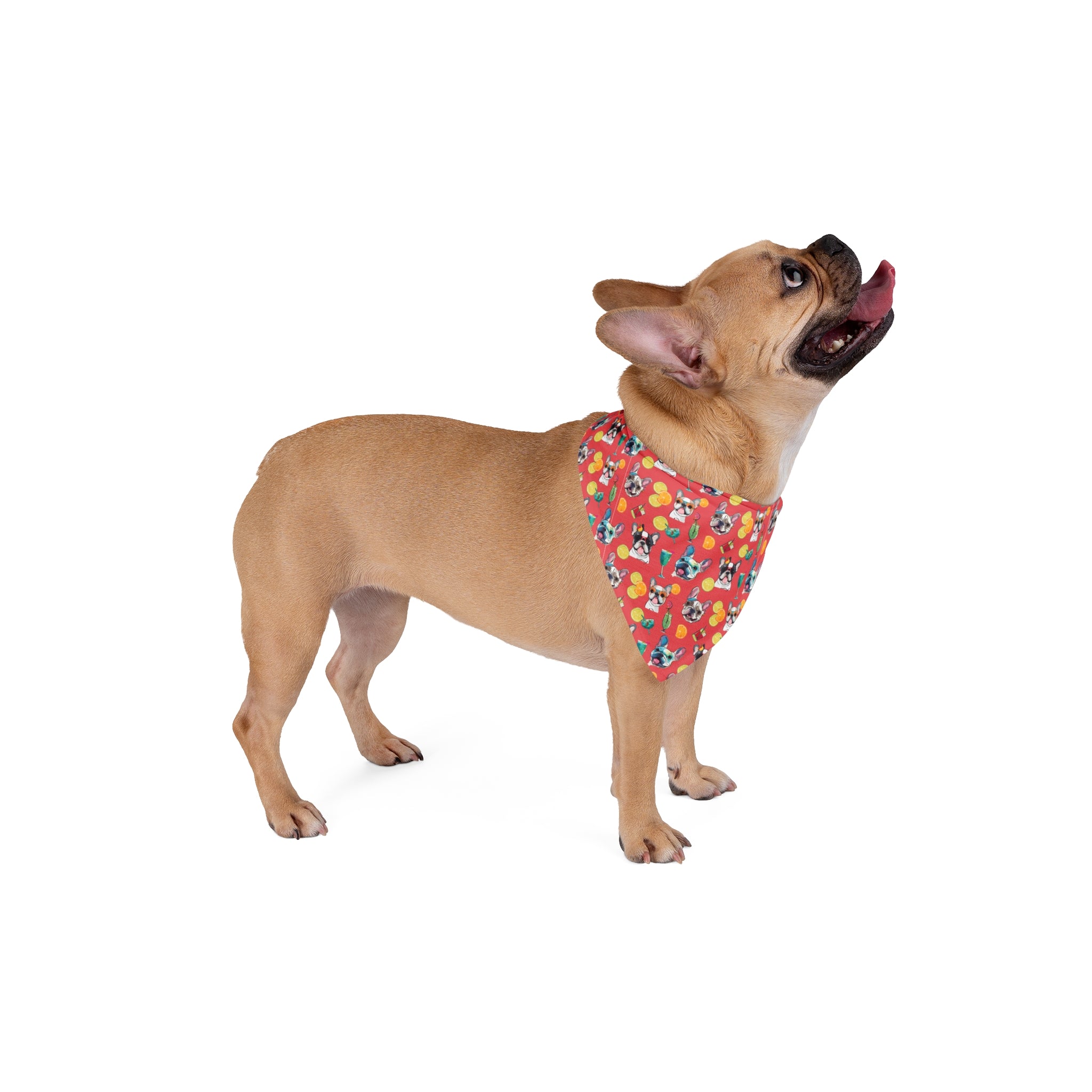 Tipsy Bully Summer Cocktail Bulldog Bandana (French/Pinkish Red)