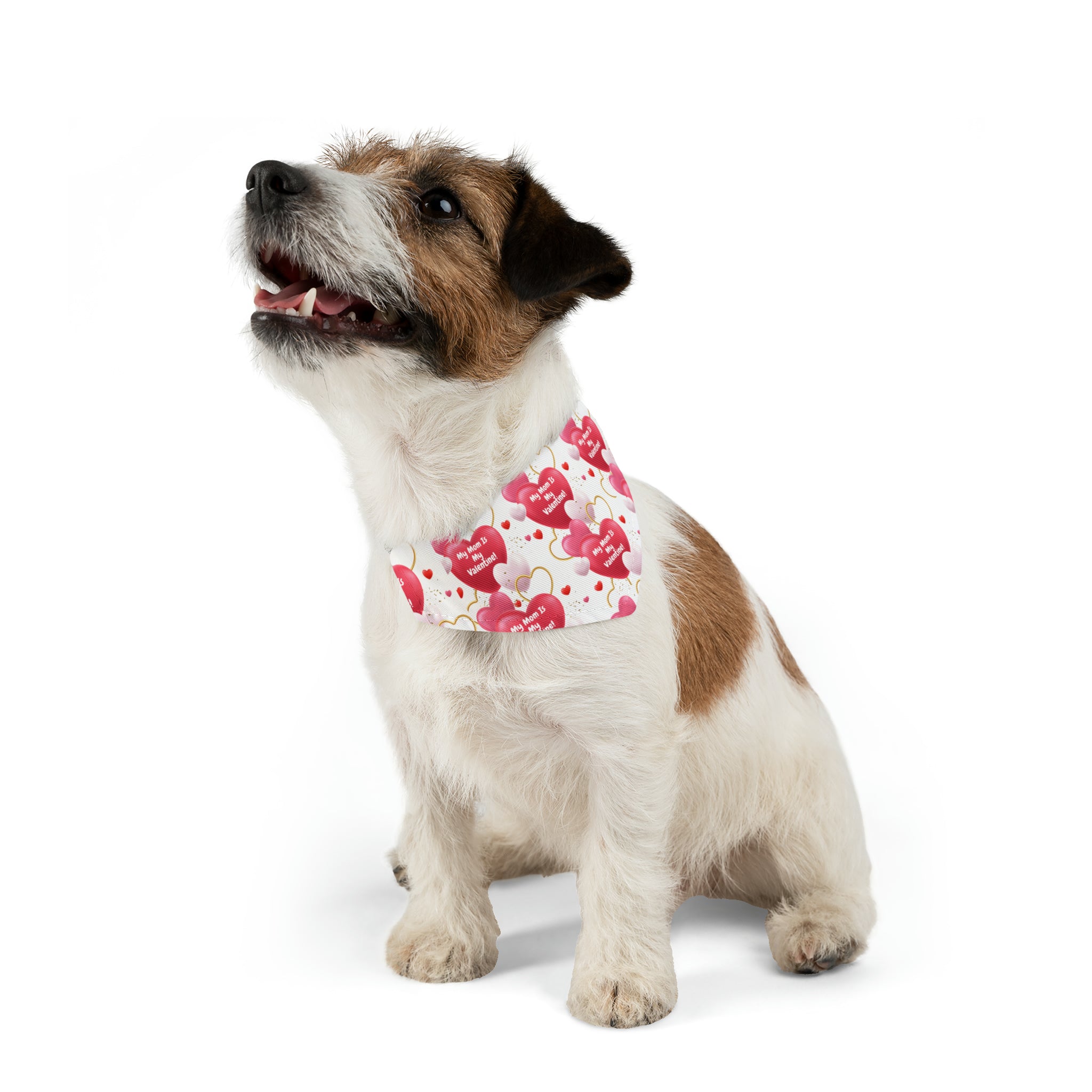 My Mom is My Valentine" - Adorable Valentine's Day Dog Bandana