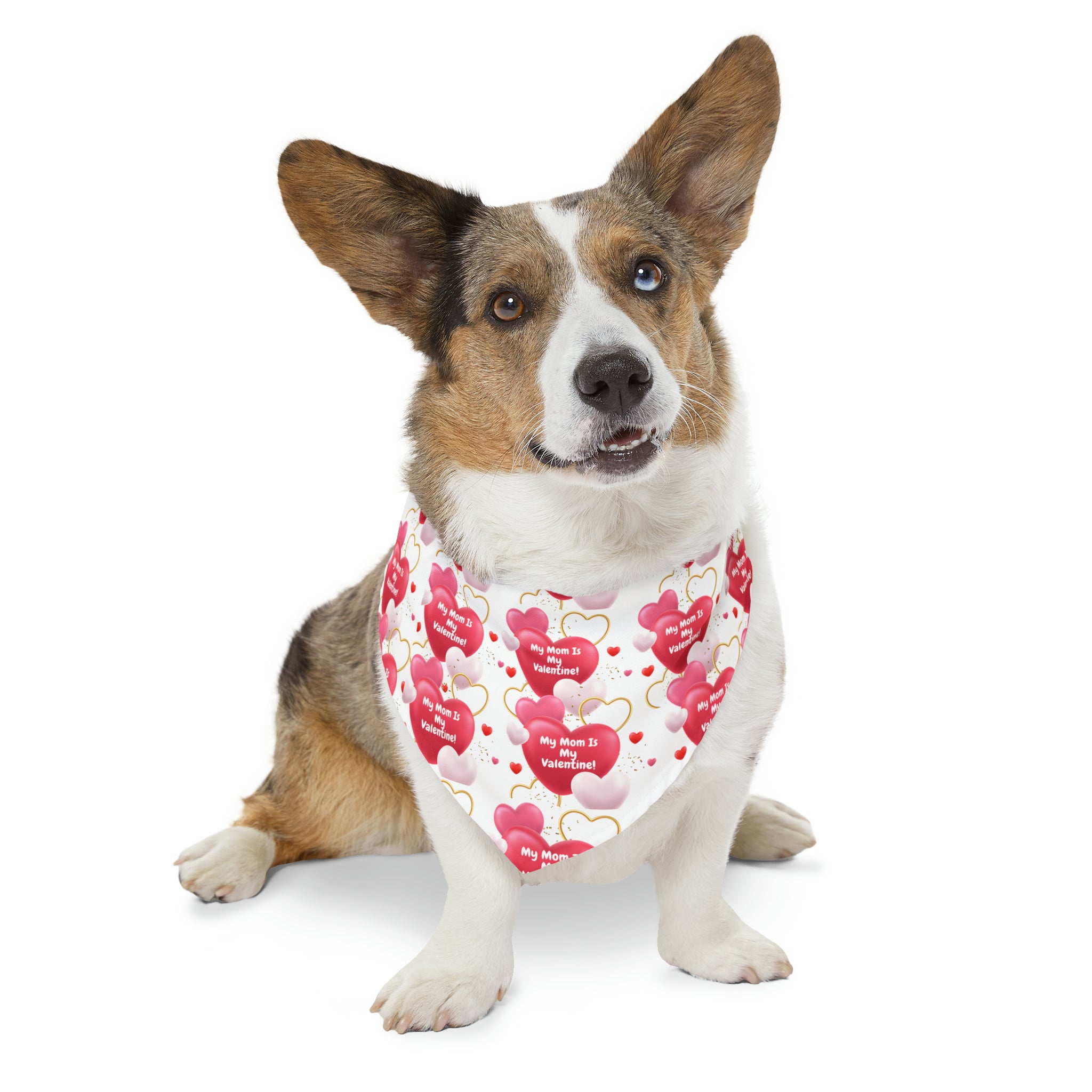 My Mom is My Valentine" - Adorable Valentine's Day Dog Bandana