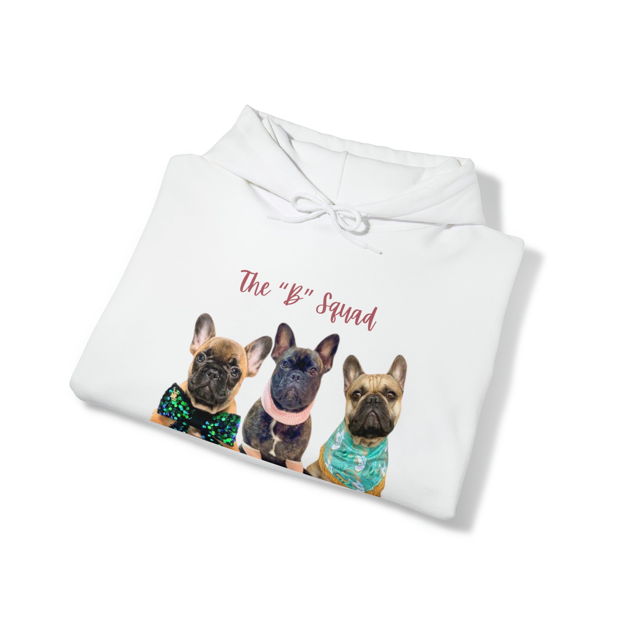 The 'B' Squad Hoodie