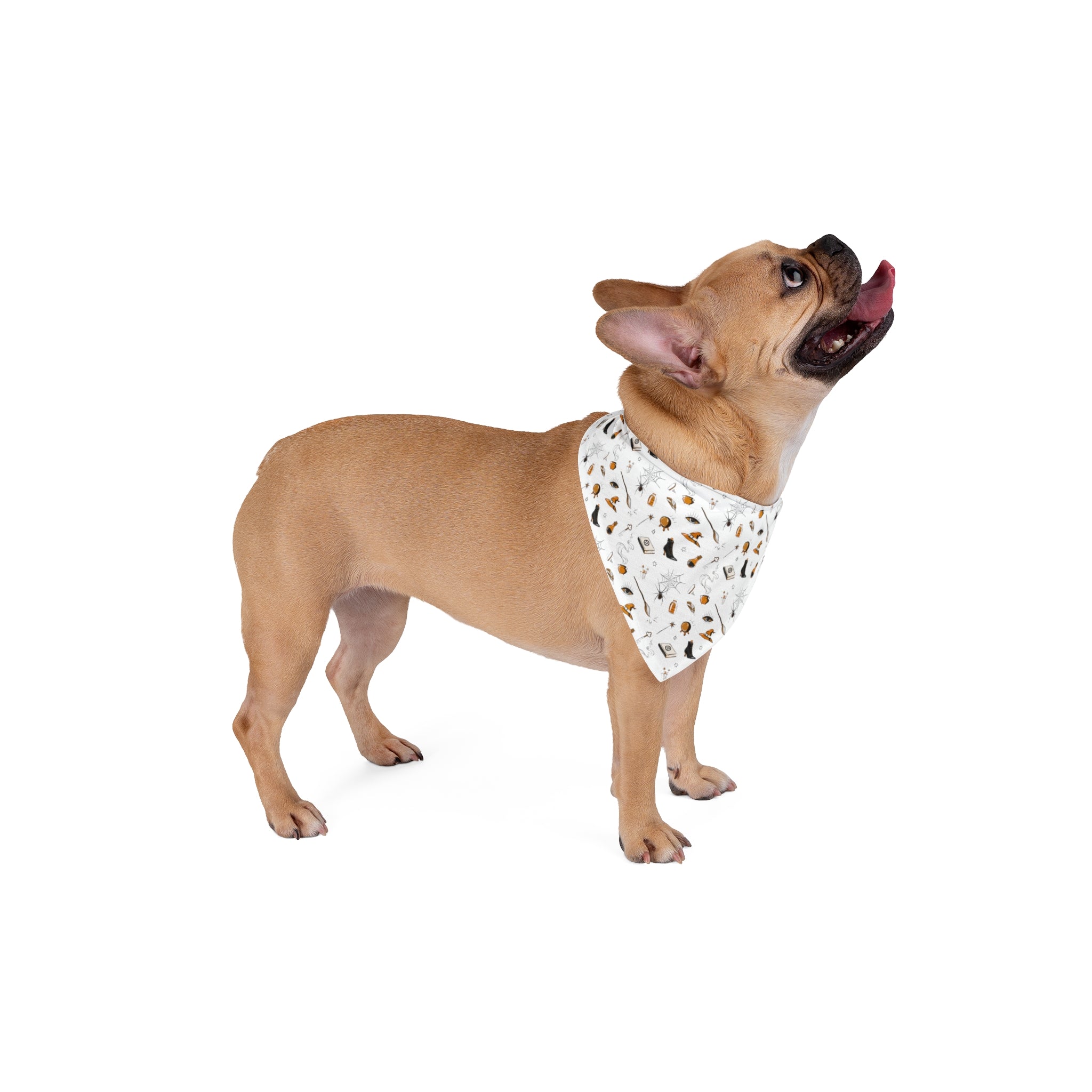 Halloween Bulldog Bandana (English/French/White/Potion)