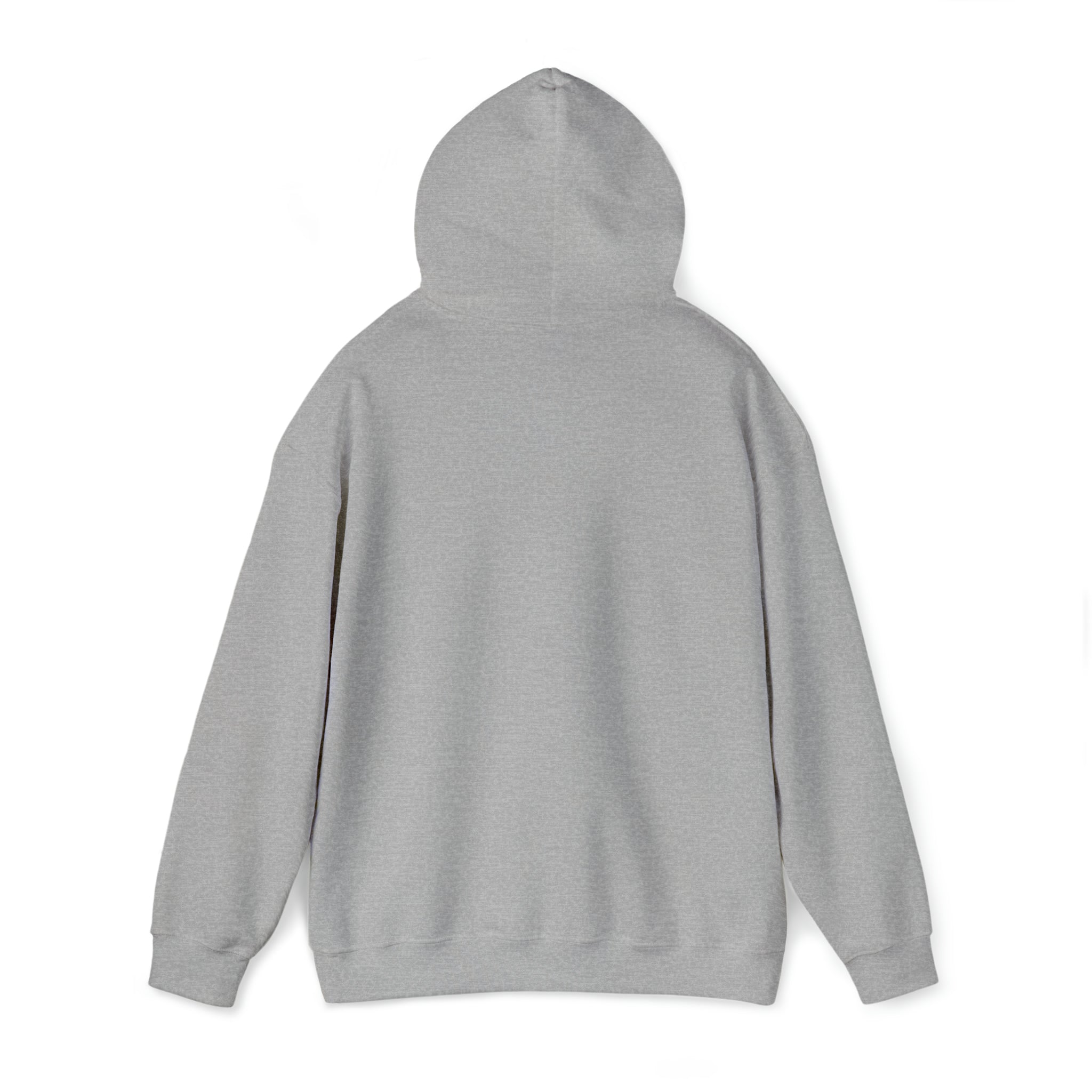 The 'B' Squad Hoodie