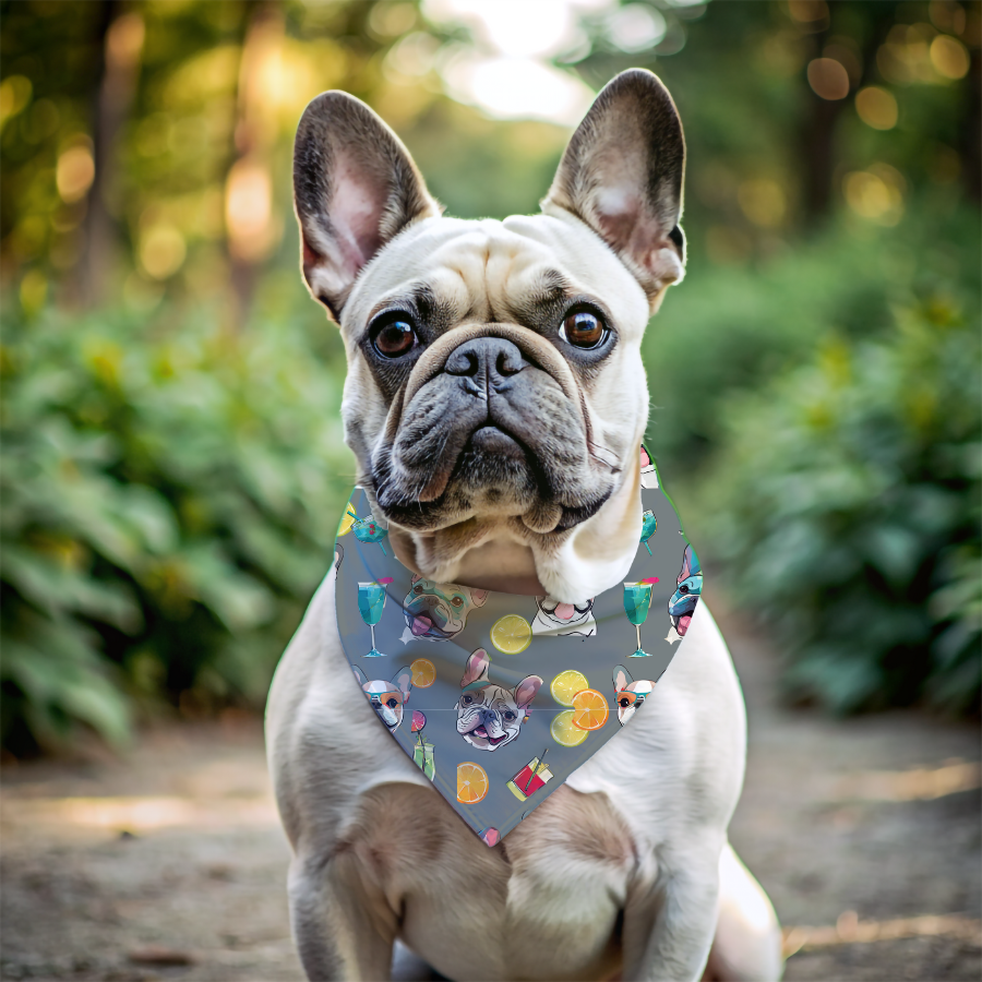 Tipsy Bully Summer Cocktail Bulldog Bandana (French/Grey)