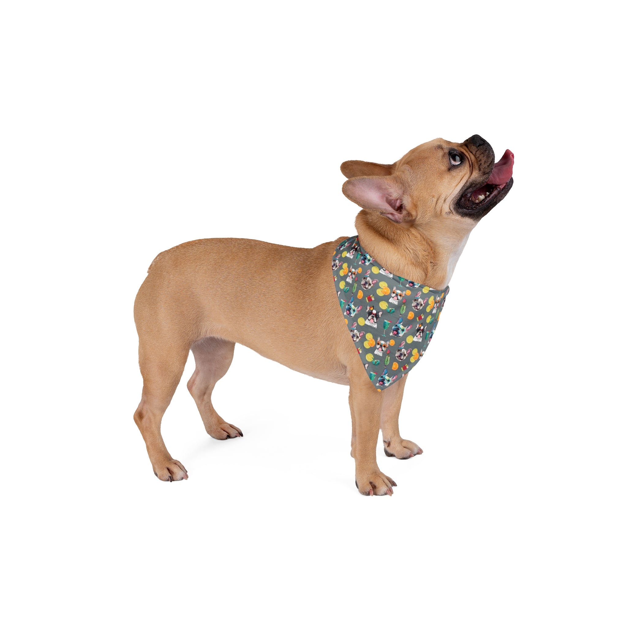 Tipsy Bully Summer Cocktail Bulldog Bandana (French/Grey)