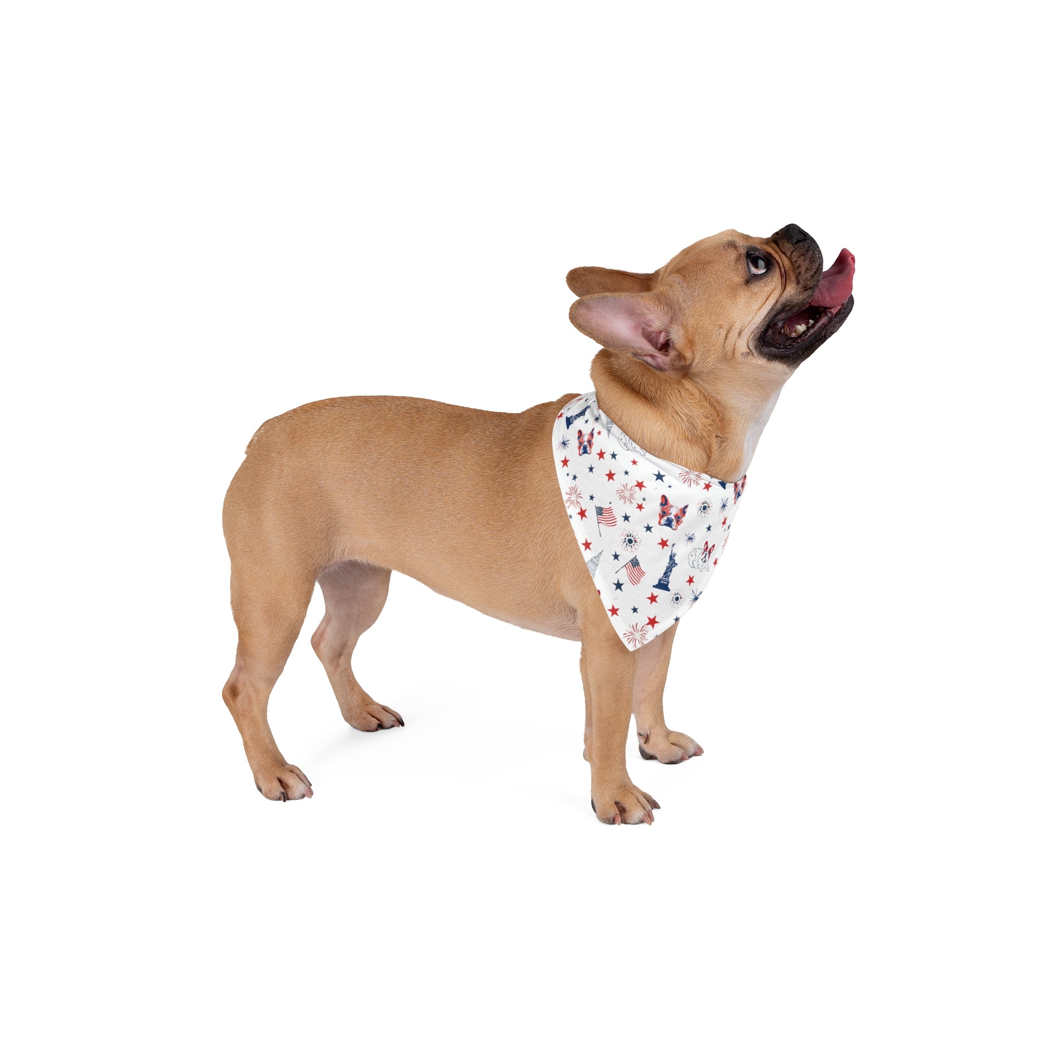 Red, White & Drool Dog Bandana (French)