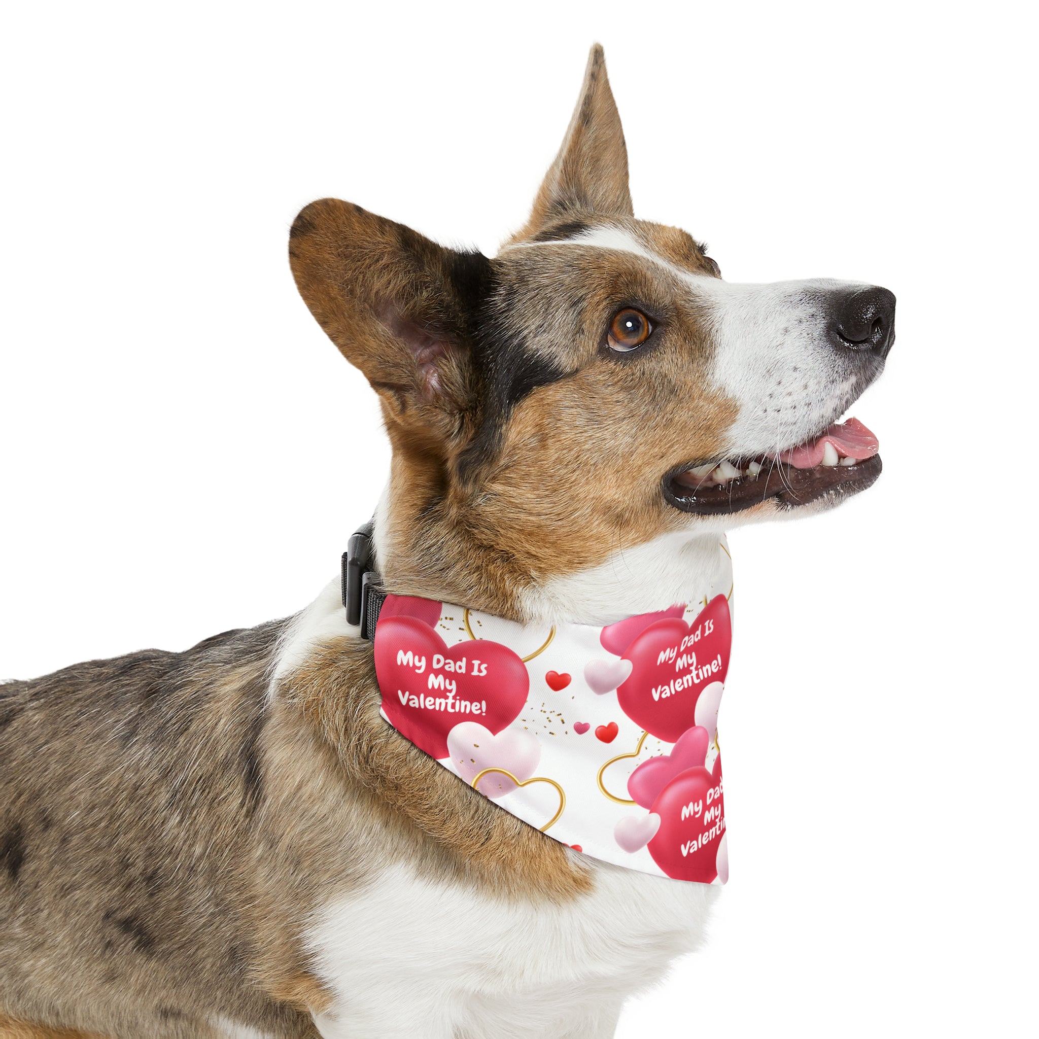 My Dad is My Valentine" - Adorable Valentine's Day Dog Bandana