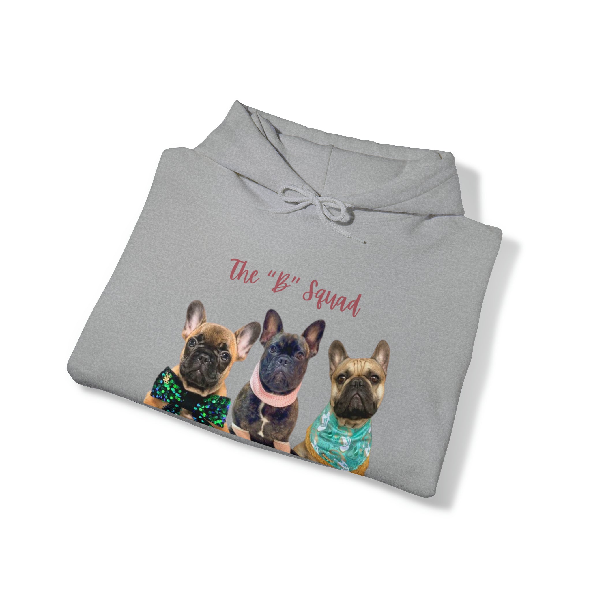 The 'B' Squad Hoodie