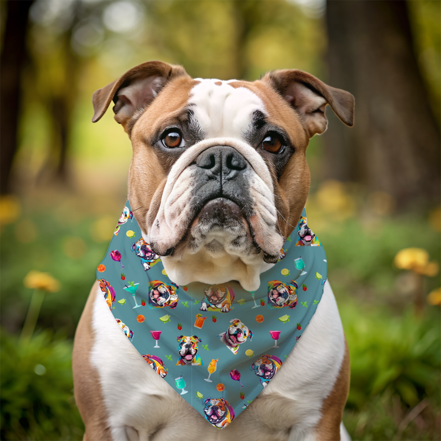 Tipsy Bully Summer Cocktail Bulldog Bandana (English/Turq)