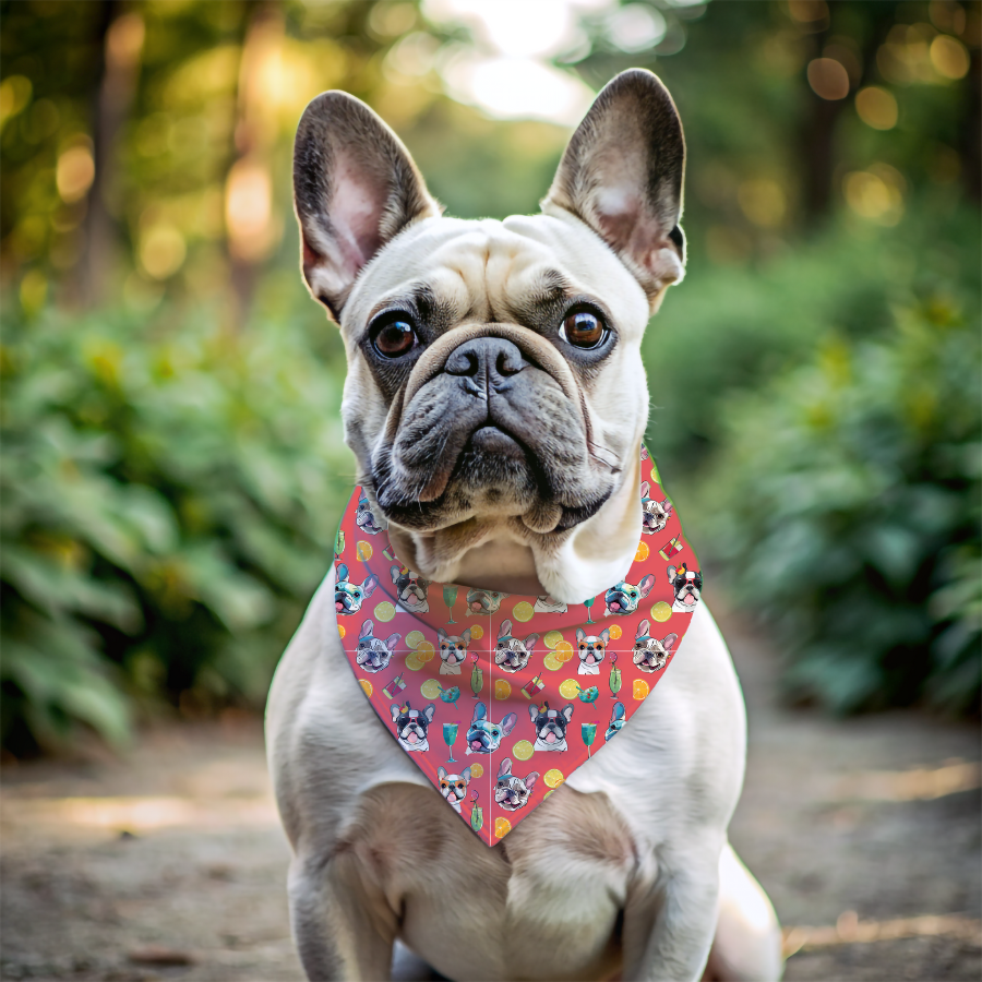 Tipsy Bully Summer Cocktail Bulldog Bandana (French/Pinkish Red)