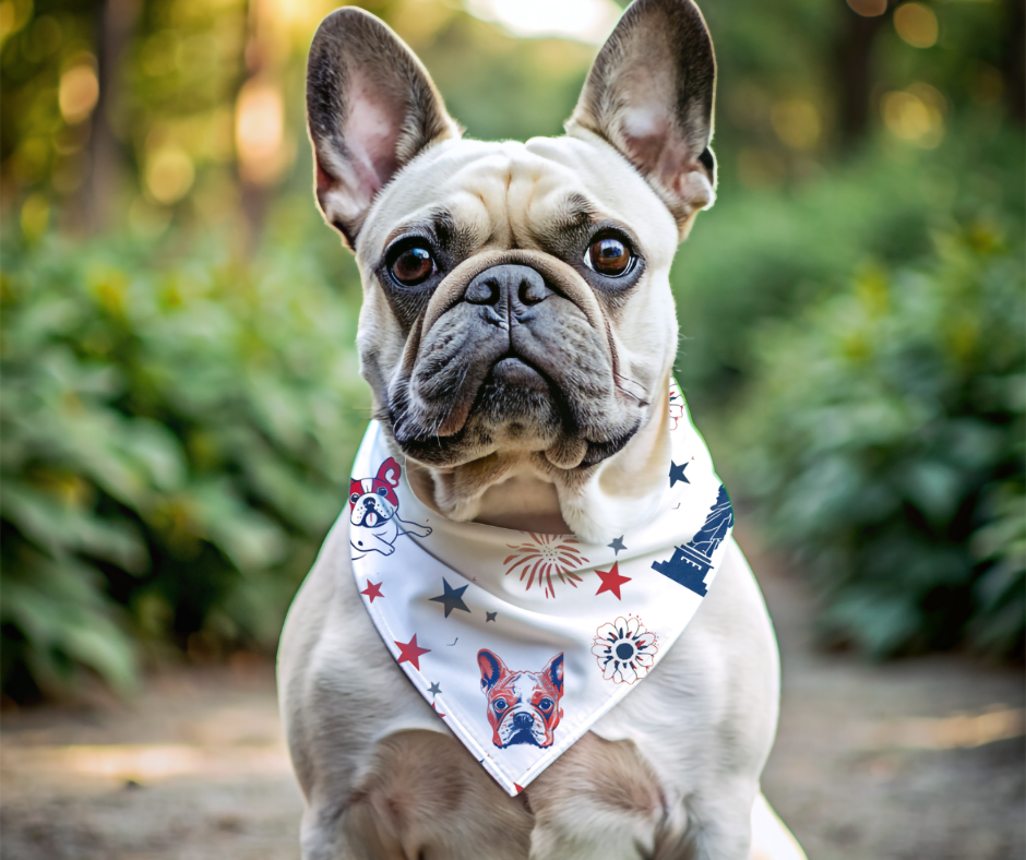 Red, White & Drool Dog Bandana (French)