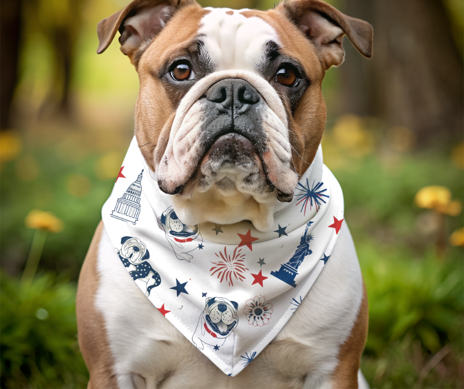 Red, White & Drool Dog Bandana (English)