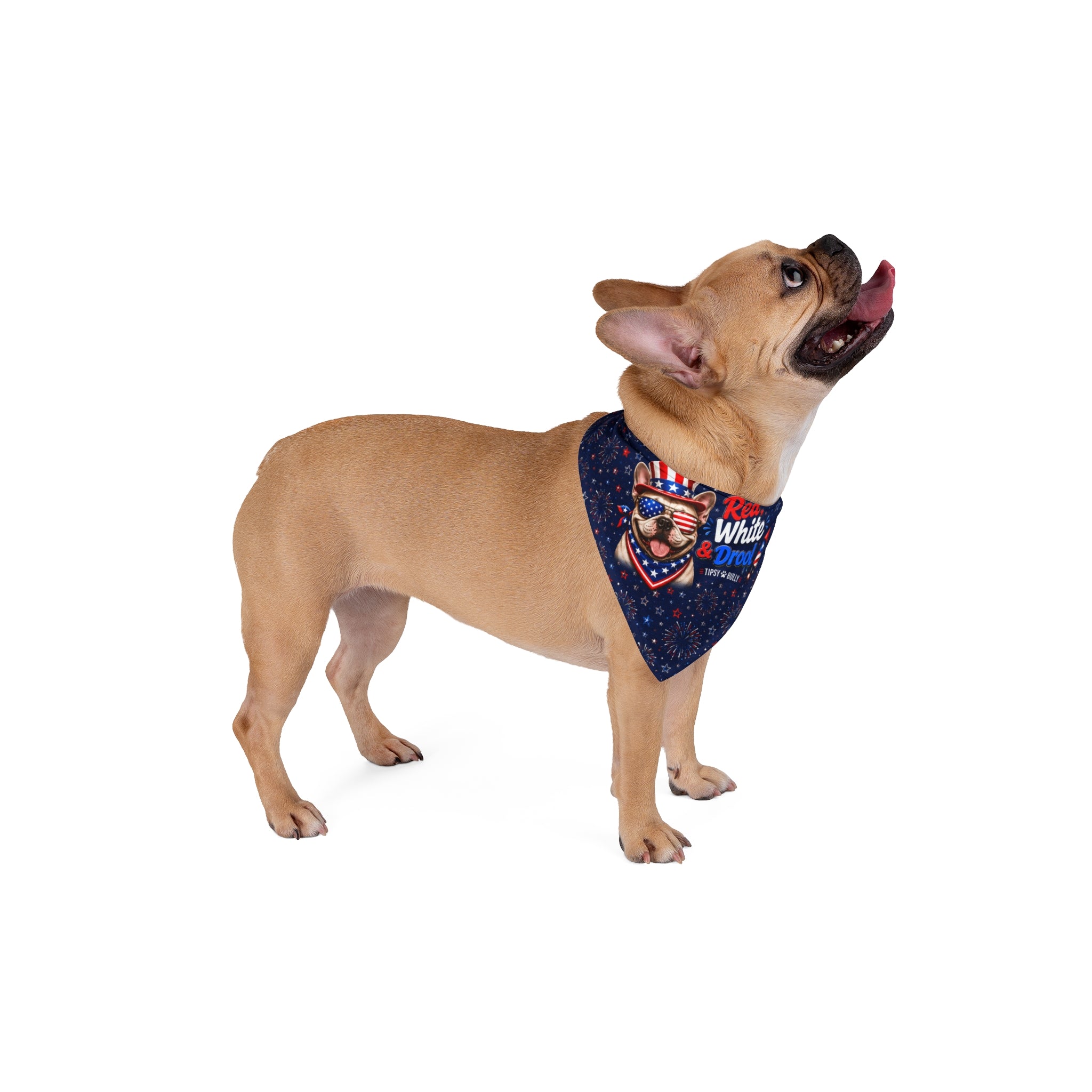 Red, White & Drool 4th of July Dog Bandana (French)