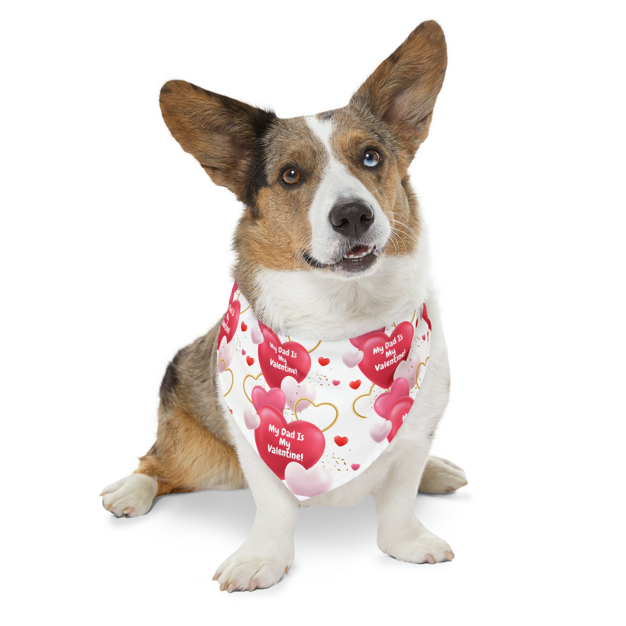 My Dad is My Valentine" - Adorable Valentine's Day Dog Bandana