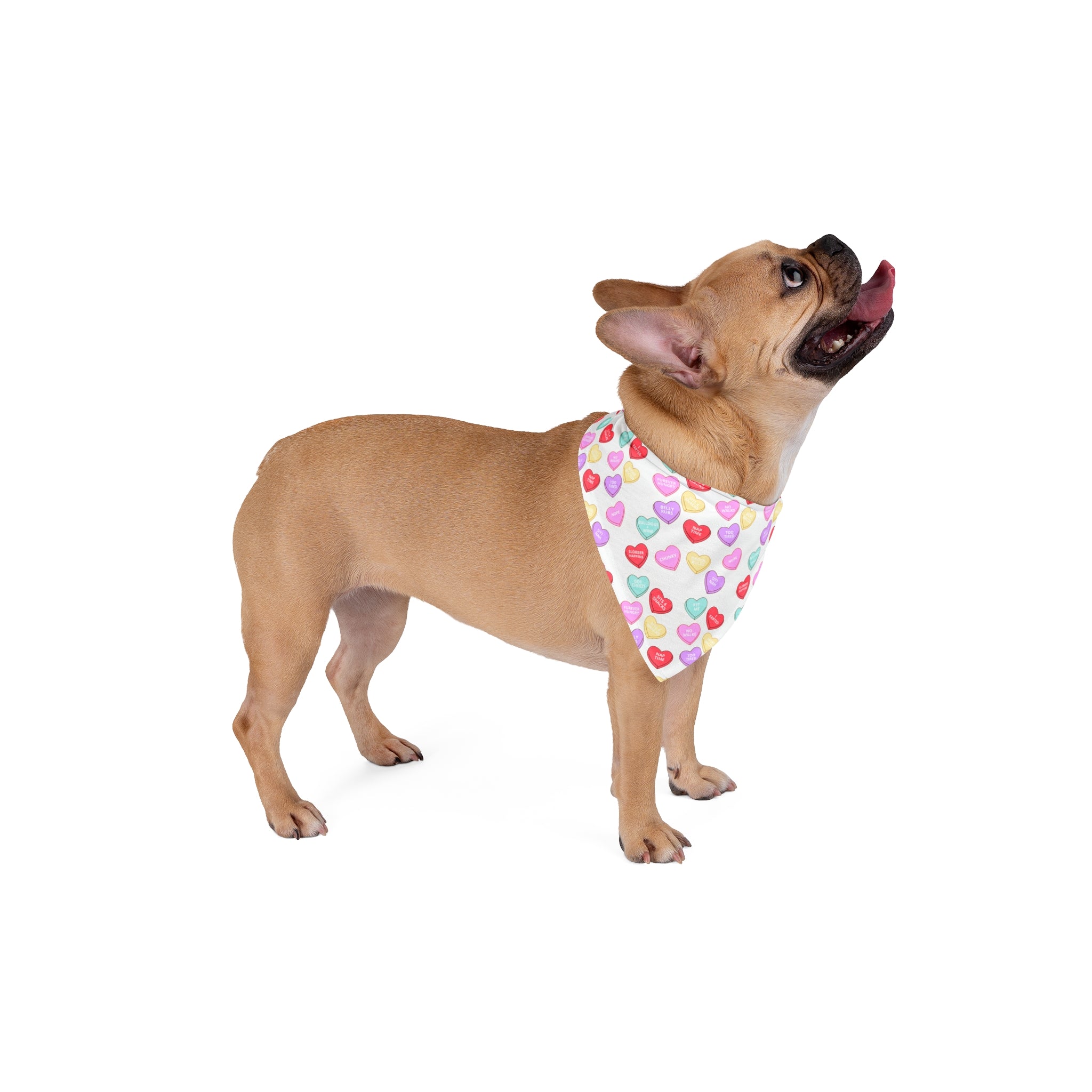 Valentine's Day Bulldog Dog Bandana: For the Love of Bulldogs (Hearts)