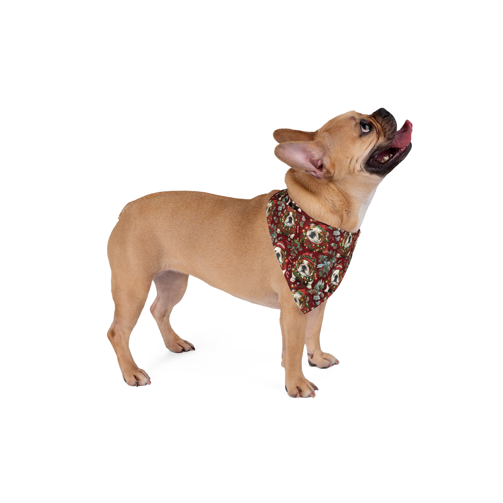 Holiday Lights Dog Bandana (English)