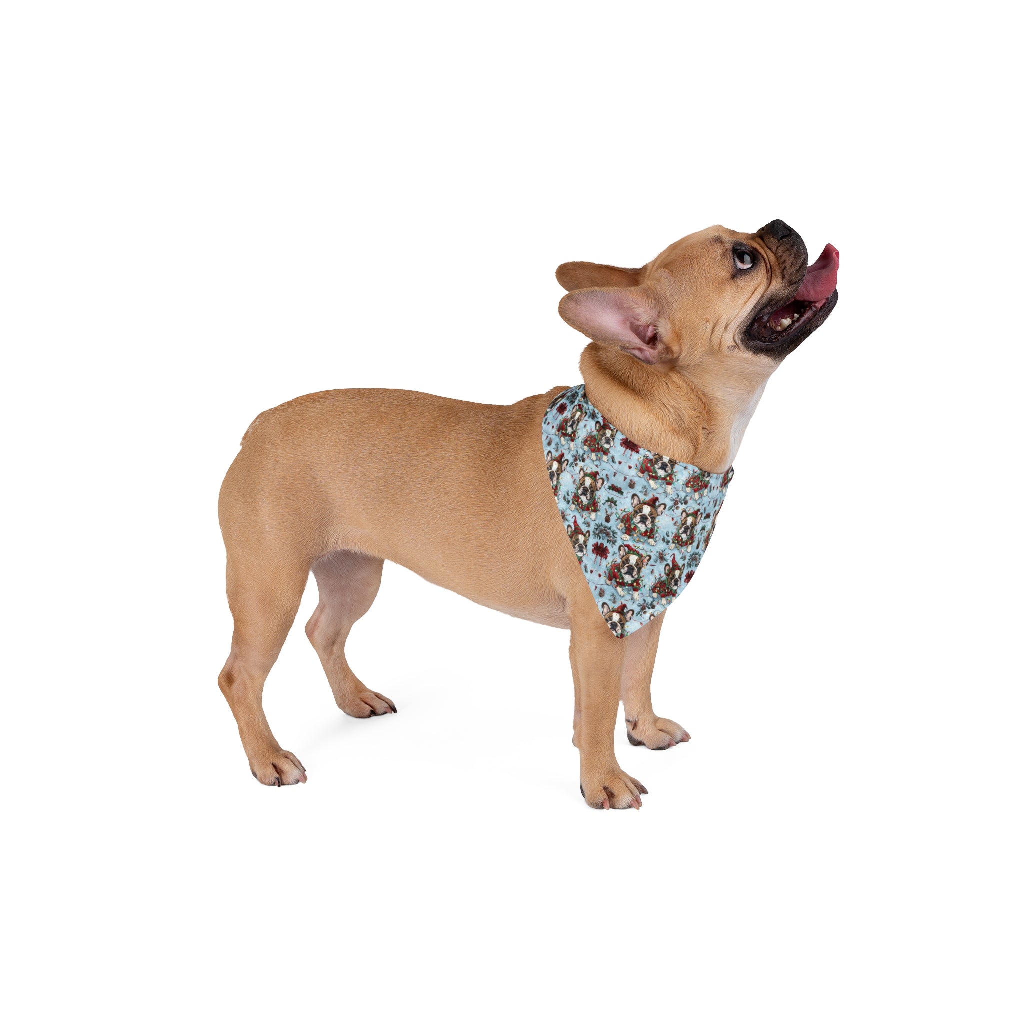 Tipsy Christmas Dog Bandana (French)