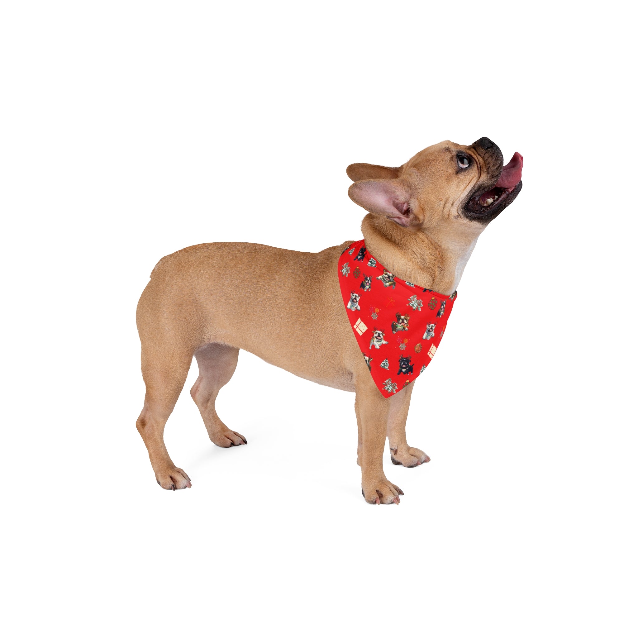 Tipsy Crew Dog Bandana (Red/English)