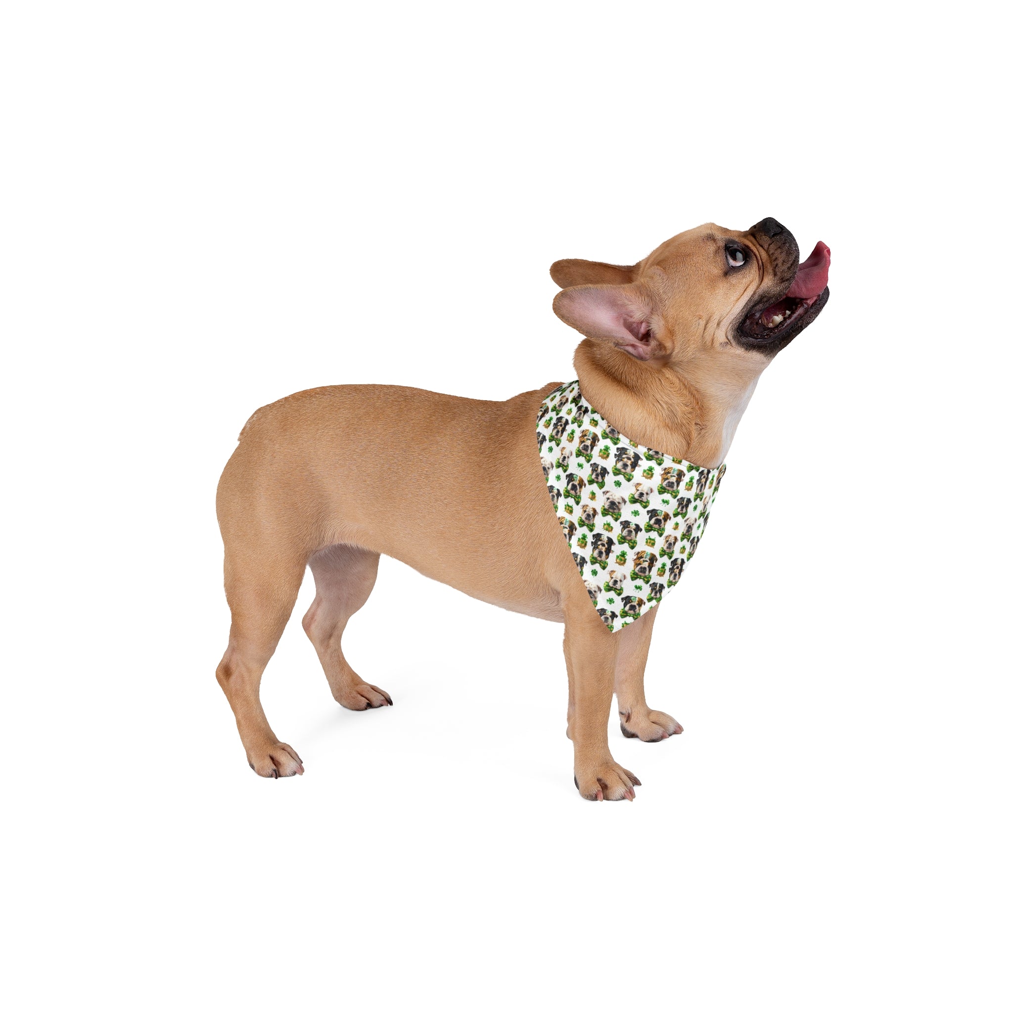 St. Patrick's Day Dog Bandana (English)