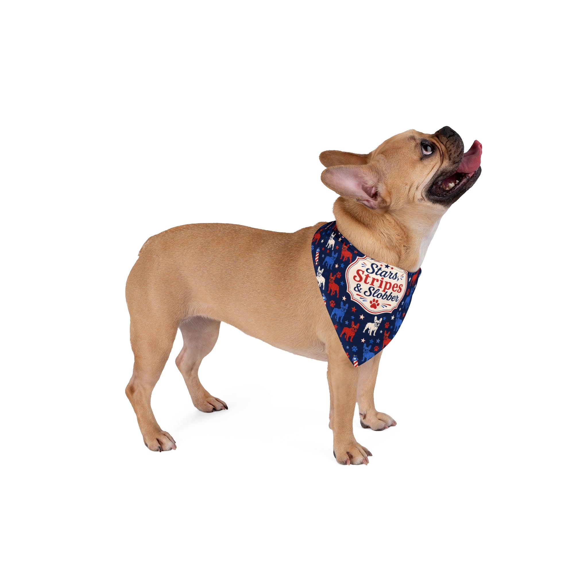 Stars, Stripes and Slobber 4th of July Dog Bandana (French)