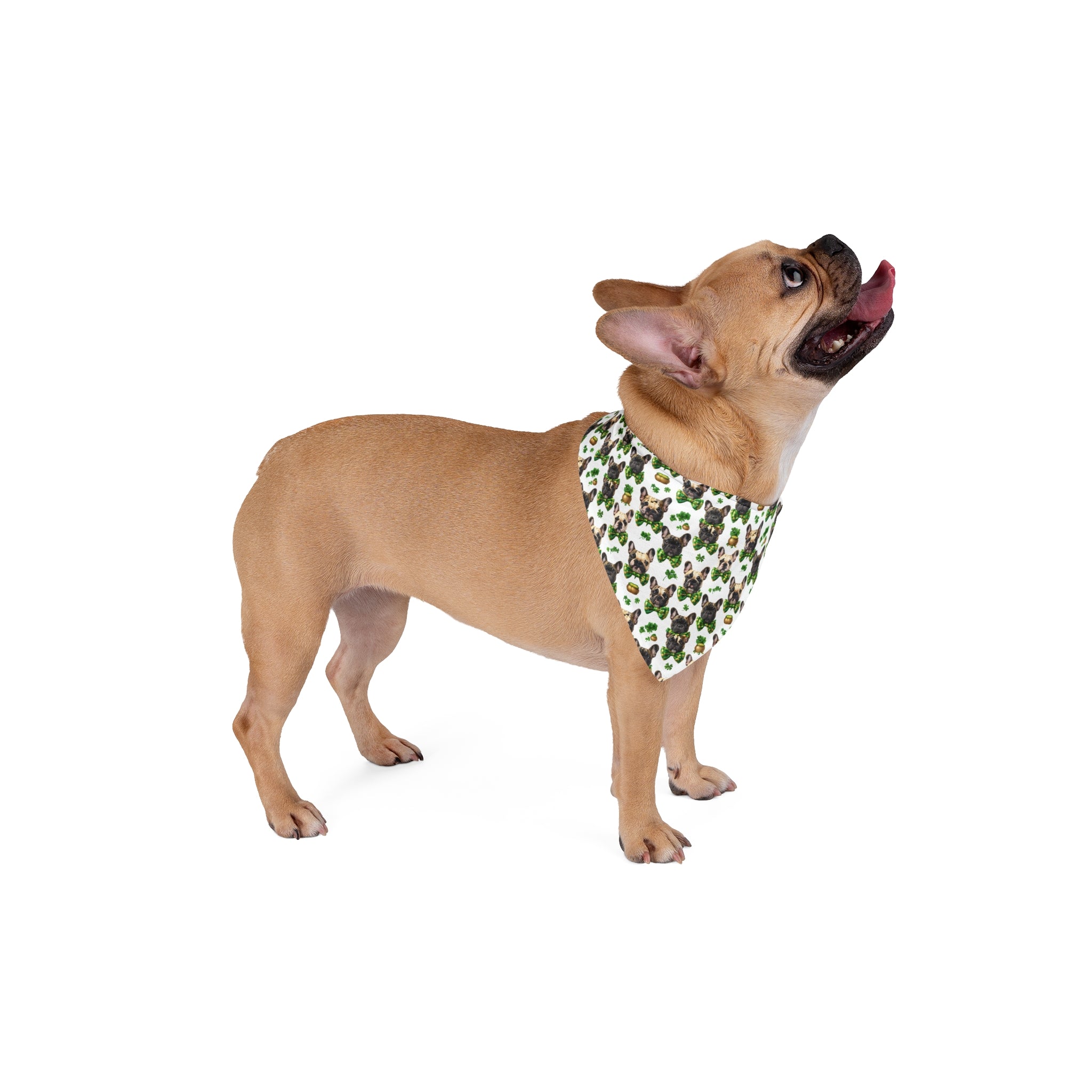 St. Patrick's Day Dog Bandana (French)